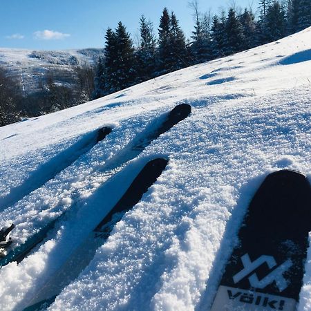 שצ'צ'ירק Widokowy Apartament Jodlowa Ski&Bike מראה חיצוני תמונה